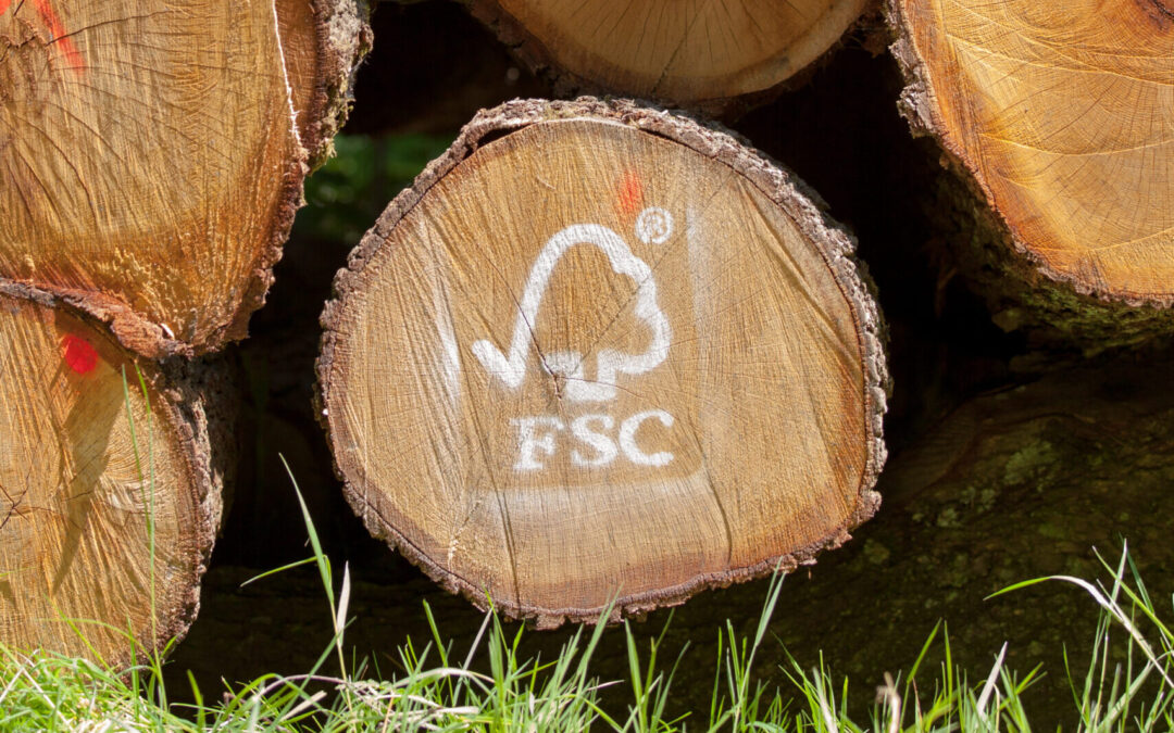 FSC Check: Befragung potentieller Partner
