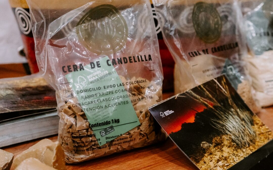 Candelilla-Wachs aus Mexiko FSC-zertifiziert