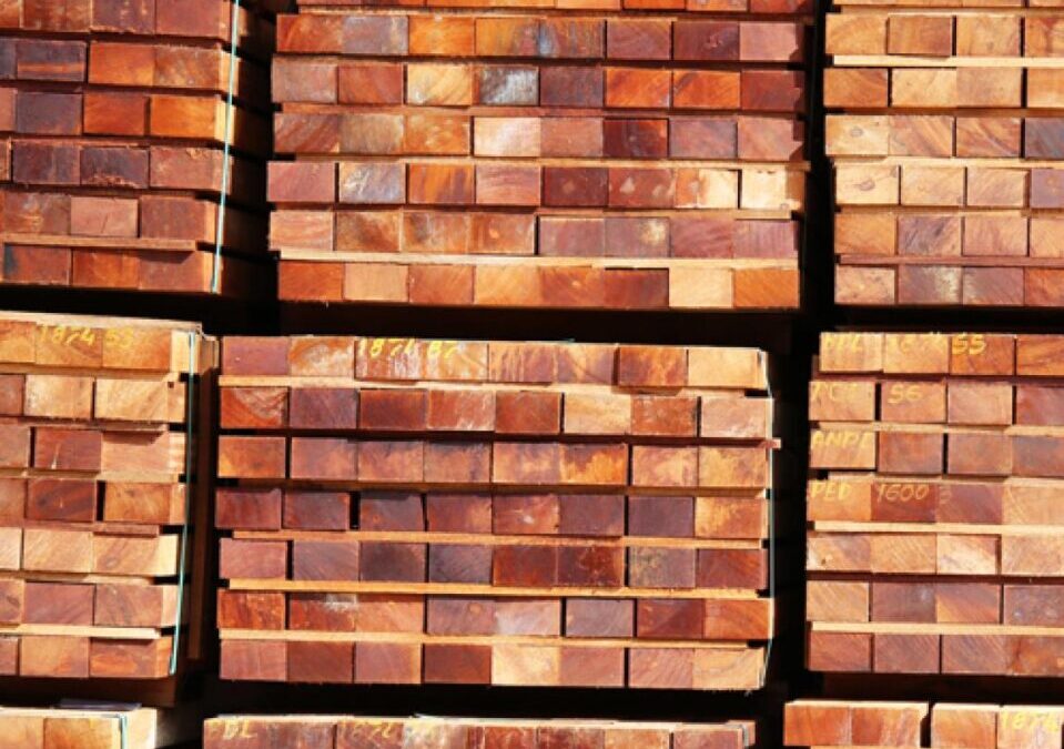 Vorläufige Ergebnisse der Transaktionsverifizierungen zu Teak