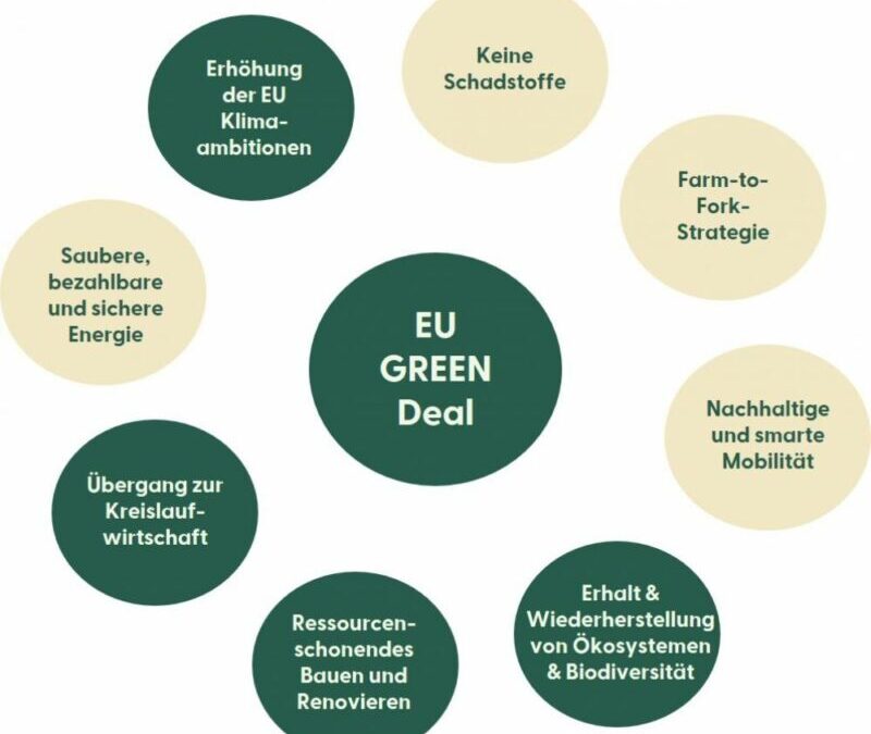 FSC und der Europäische Grüne Deal