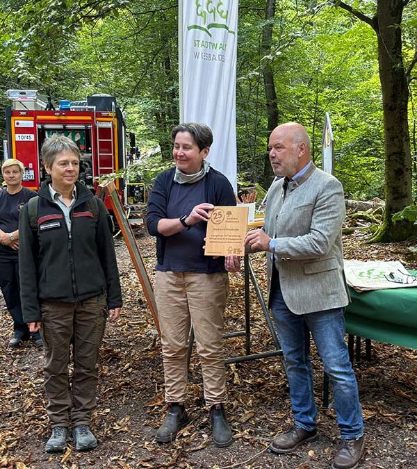 Hohe Expertise dank Vorreiterrolle