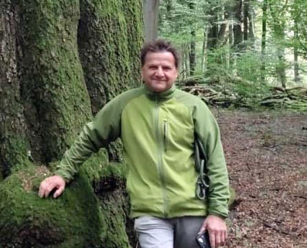 Vermehrte Einbringung nicht-heimischer Baumarten als nicht kontrollierbares Risiko